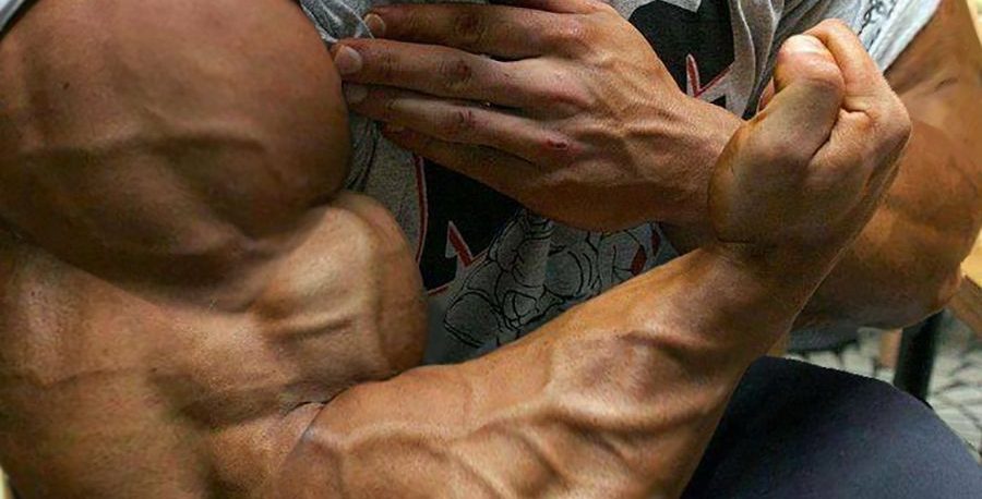 biceps (mit Bildern) | Bodybuilding training, Bodybuilder ...